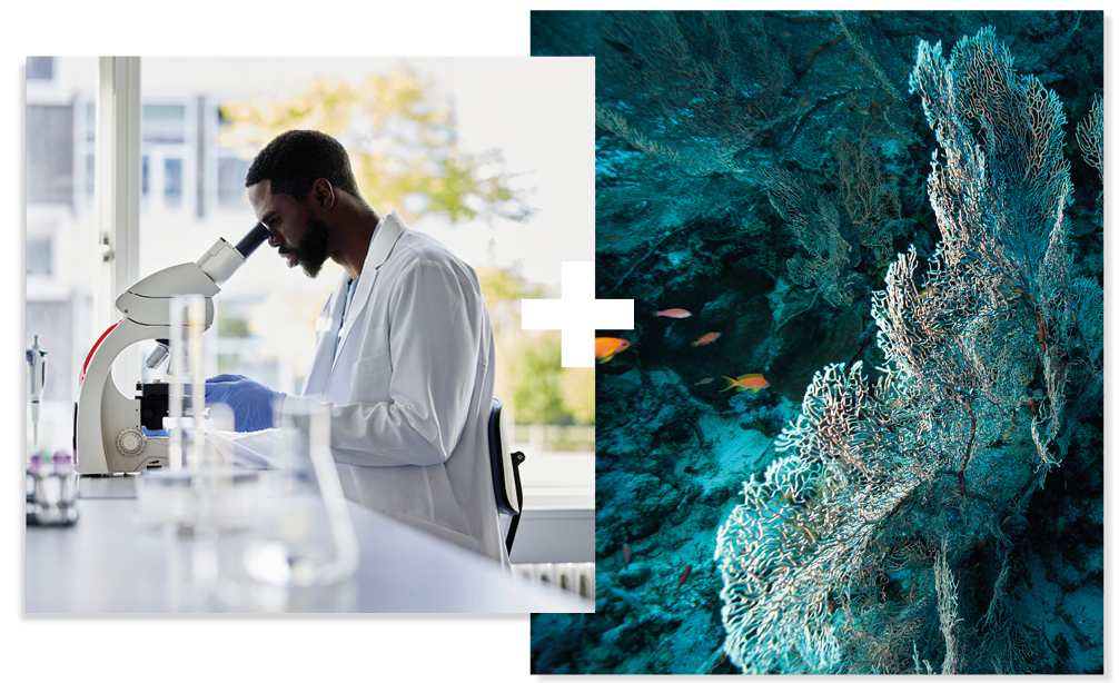 Collage of 2. A student working in a laboratory and an image of coral in the sea